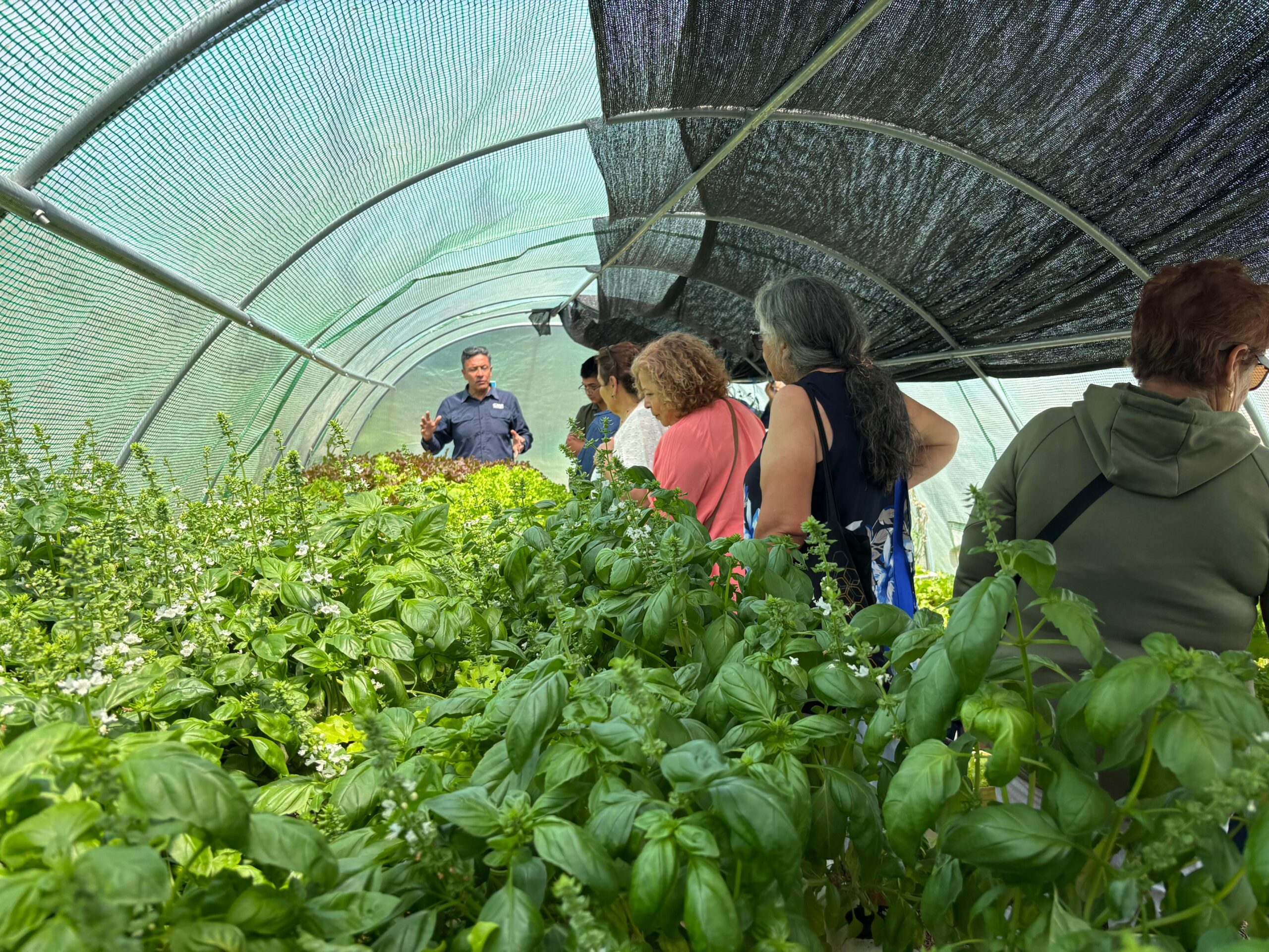 CMP successfully concludes a new year of the Agroemprende Fund, strengthening sustainable agriculture in the territory